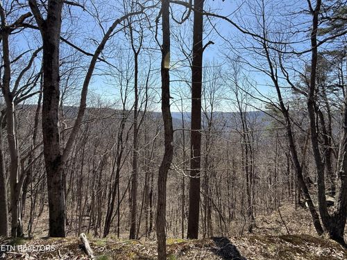 0 Cumberland Cove Rd, Monterey, TN, 38574 | Card Image