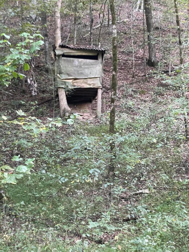450 County Road 28, House other with 4 bedrooms, 3 bathrooms and null parking in Calhoun TN | Image 117