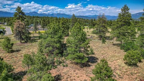 1343B Wheeler Pl, Pagosa Springs, CO, 81147-7937 | Card Image