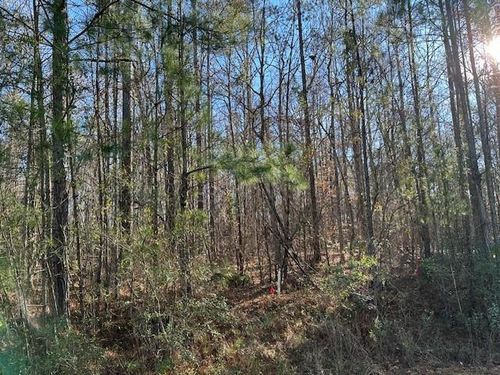 Lot 9 Oak Ridge Drive, Waverly Hall, GA, 31831 | Card Image