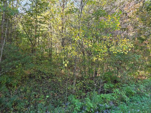 2 Carstens Lake Rd, Kiel, WI, 53042 | Card Image