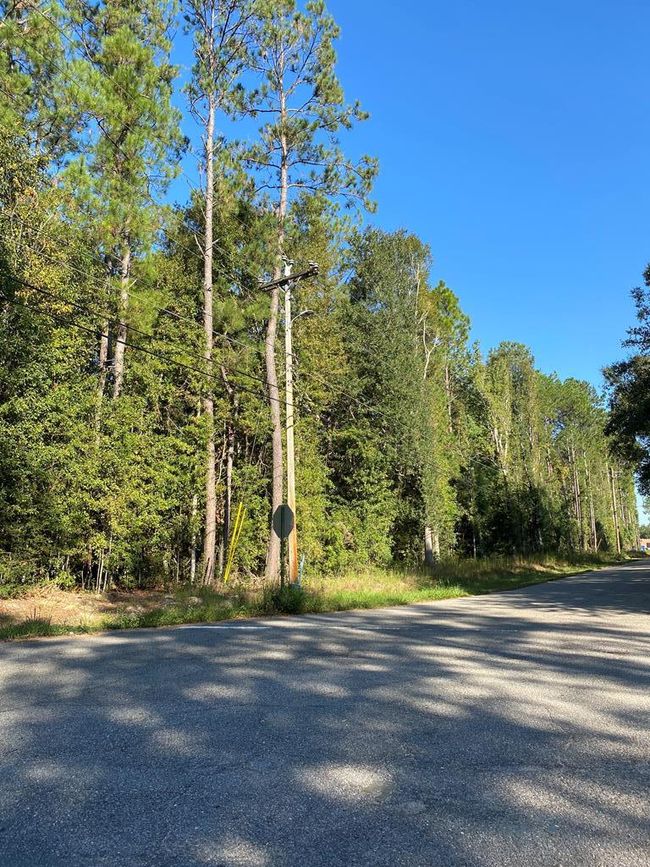 00 Elm St, Home with 0 bedrooms, 0 bathrooms and null parking in Picayune MS | Image 6