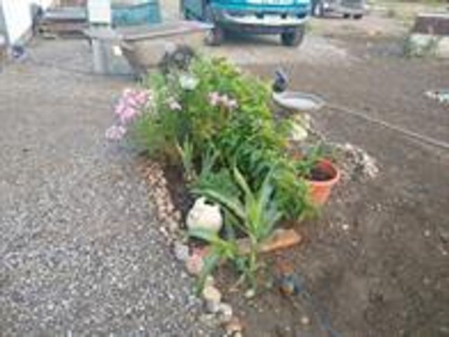View of yard | Image 16