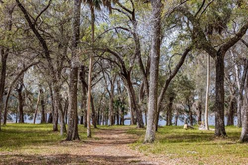 0 Forest 02, #2, Se 150th Street, UMATILLA, FL, 32784 | Card Image