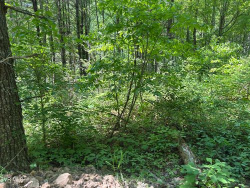 889 Hide Away Drive, Butler, TN, 37640 | Card Image