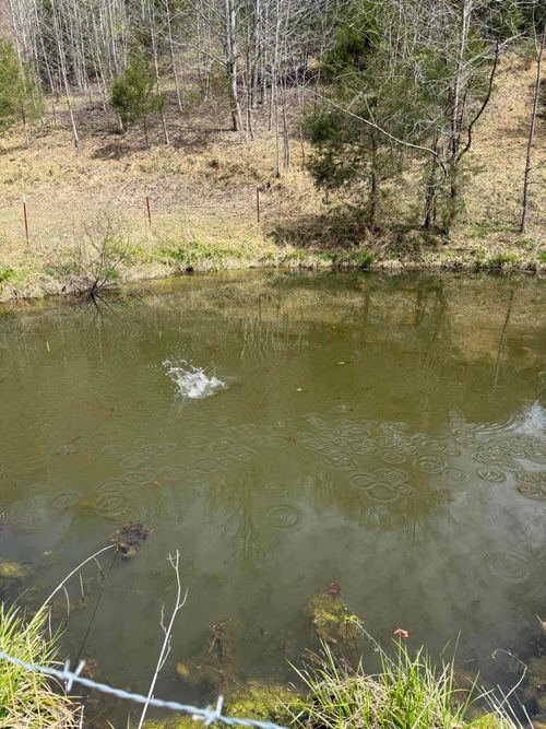 00 Kyles Ford Hwy, Kyles Ford, TN, 37765 | Card Image