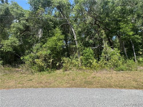 1650 N Paulette Terrace, Inverness, FL, 34453 | Card Image