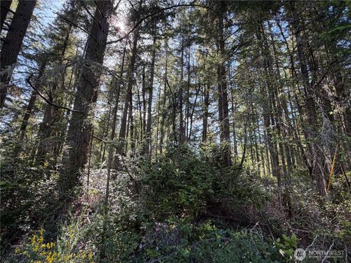 10506 Tahoma Dr Drive, Anderson Island, WA, 98303 | Card Image
