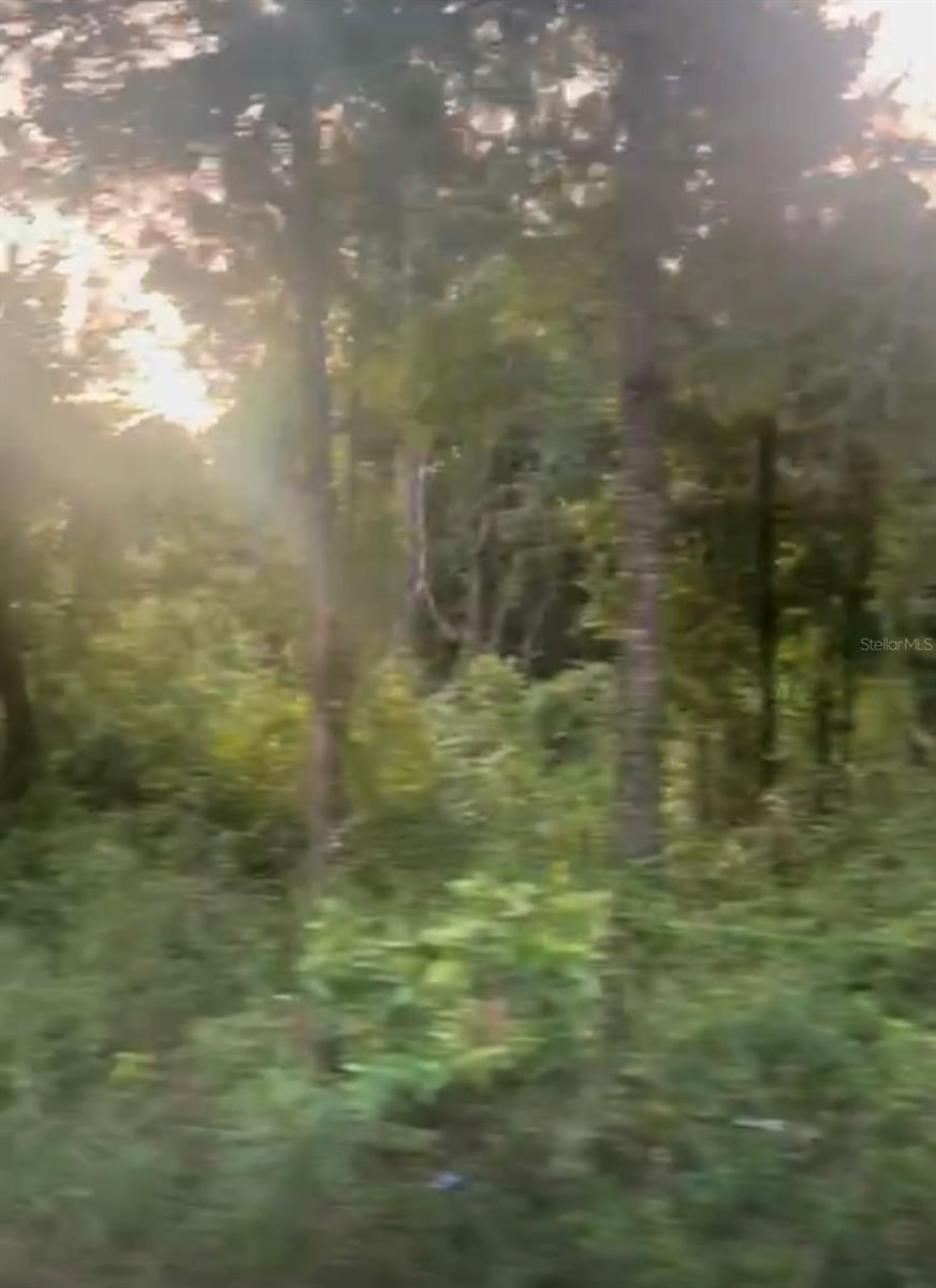 Land in OCALA
