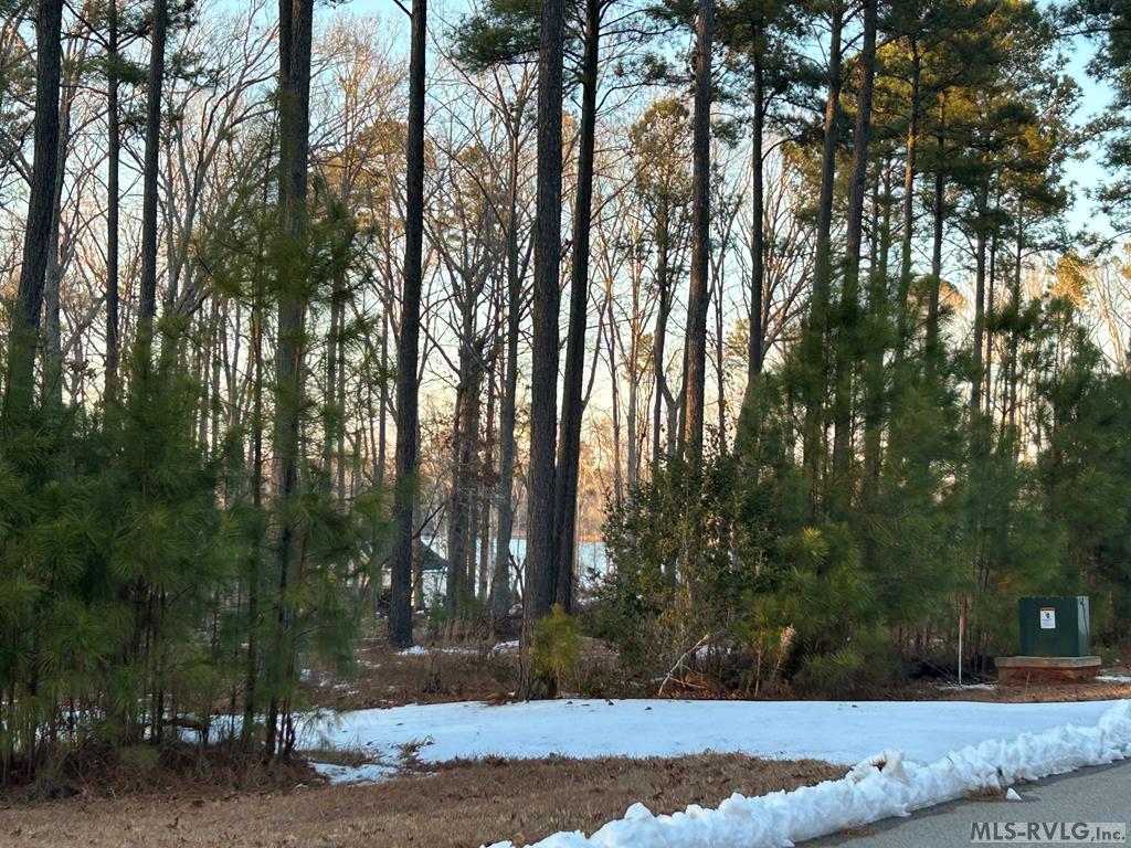 Land in Macon 5