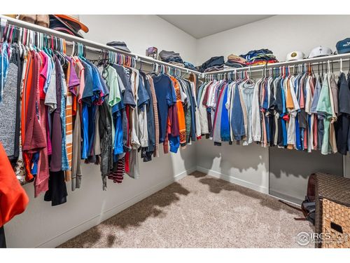 1255 Baker Pass St, Severance, CO, 80550-2891 | Card Image