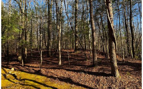 Lot 32 Oceola Dr, Ellijay, GA, 30540 | Card Image