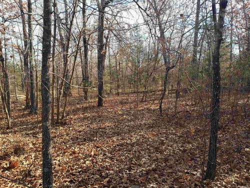 L-22 &amp; 23, B-9 Poteau Trace, Cherokee Village, AR, 72529 | Card Image