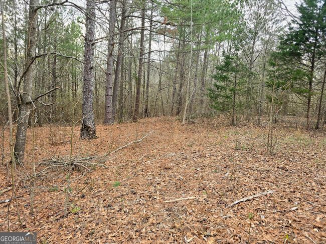 0 Willow St, Home with 0 bedrooms, 0 bathrooms and null parking in Stephens GA | Image 22
