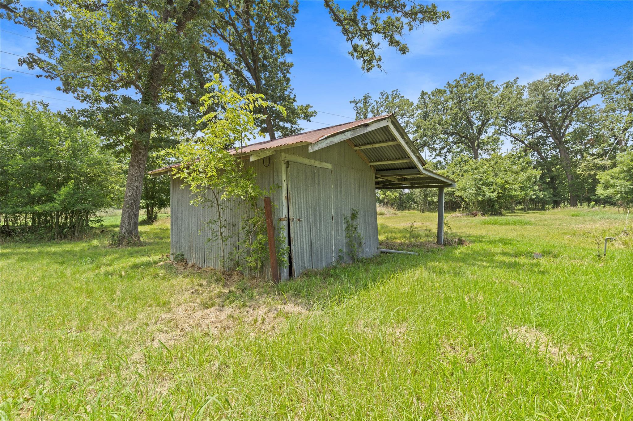 Residential in Willis 2