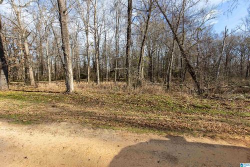 42-0 River Oaks Landing Cir, Orrville, AL, 36767 | Card Image