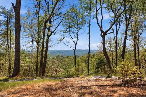 Lot 44 Wildcat Wilderness Parkway, Deep Gap, NC, 28618 | Card Image