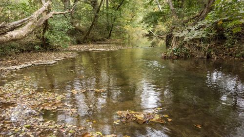 1 Noah Rd, Beechgrove, TN, 37018 | Card Image