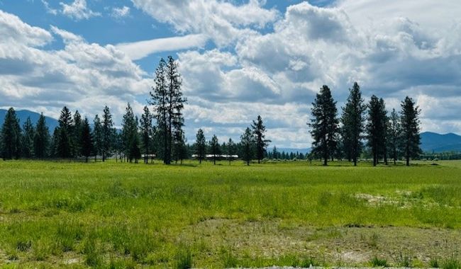 20 Cabinet View Ln, Home with 0 bedrooms, 0 bathrooms and null parking in Trout Creek MT | Image 5