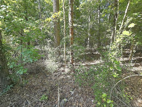 TBD Bobcat Trl, Livingston, TX, 77351 | Card Image