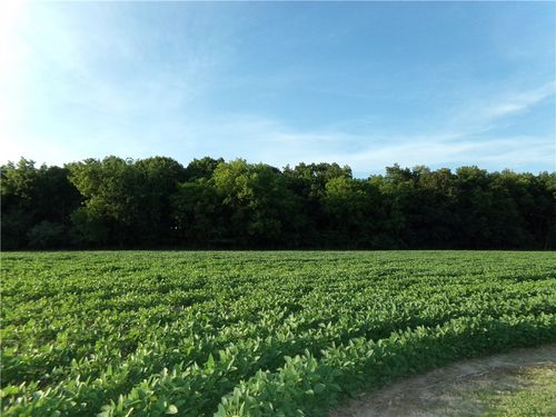 11 Deer Lake Est, Findlay, IL, 62534-9786 | Card Image