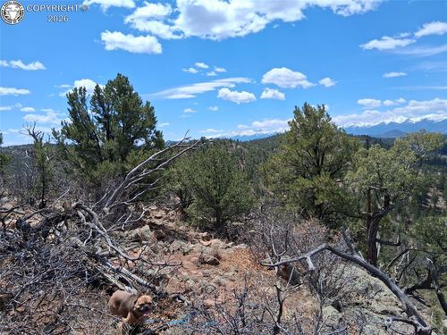TR-1 G Path, Cotopaxi, CO, 81223 | Card Image