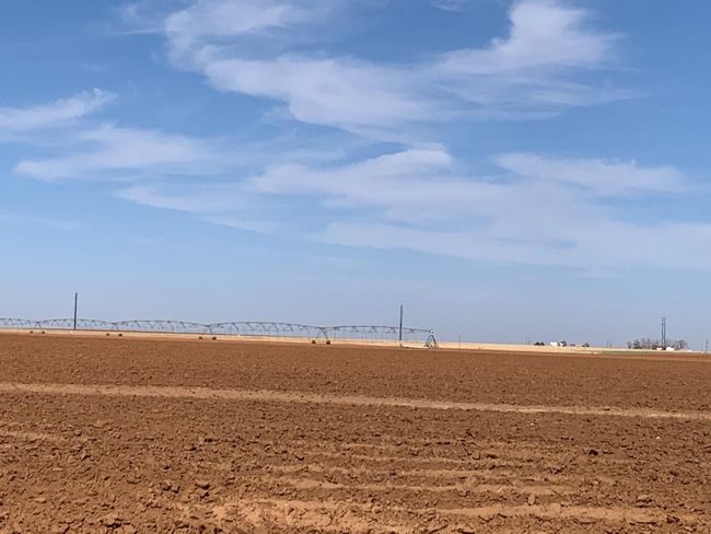 0 Dove, Home with 0 bedrooms, 0 bathrooms and null parking in Ropesville TX | Image 7