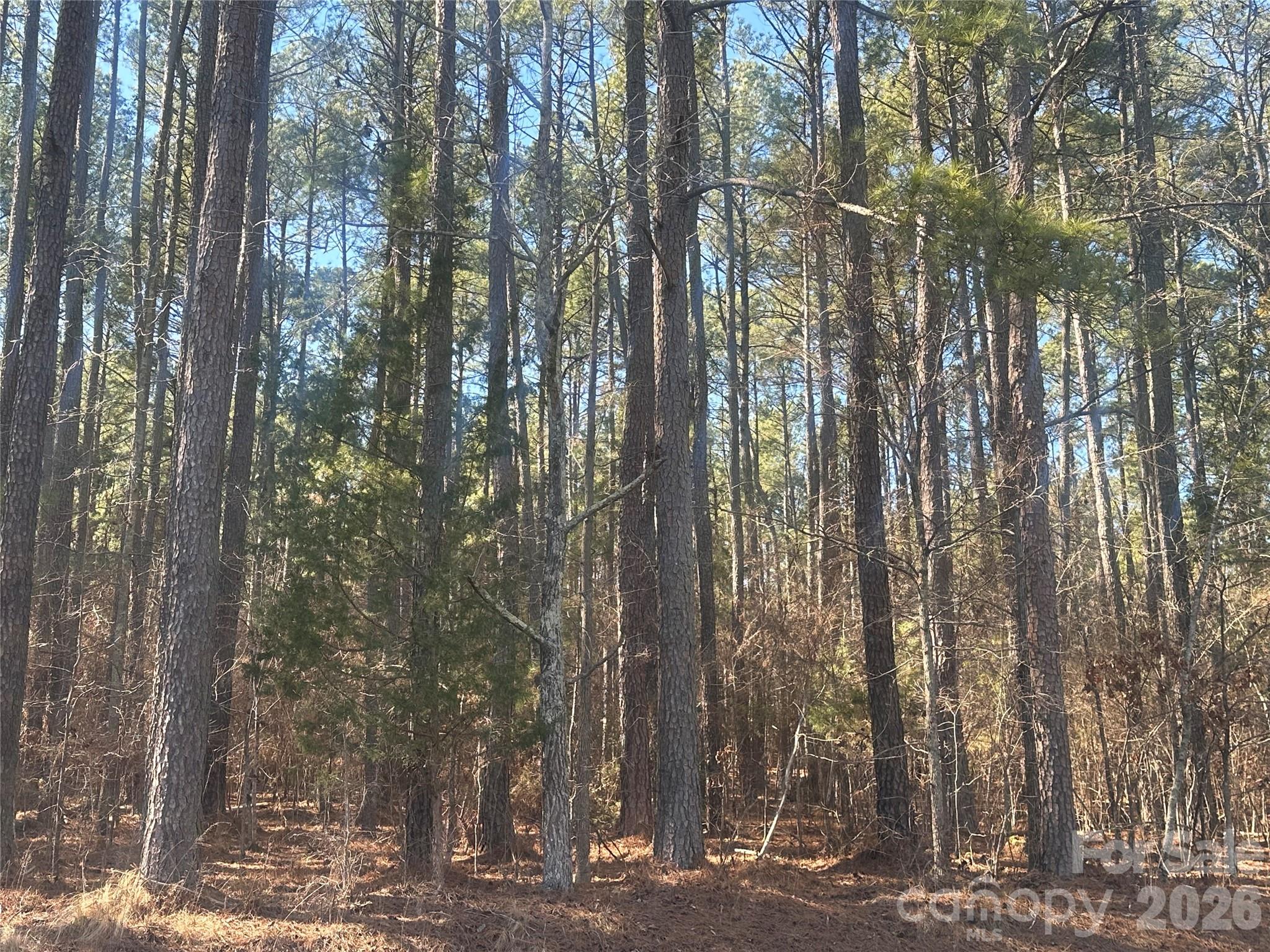 Land in Denton 2