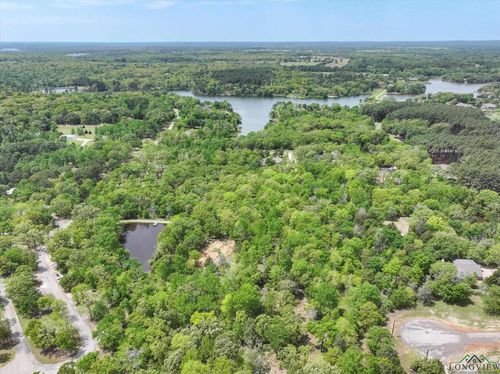 8950 Timber Ridge Ln, Larue, TX, 75770 | Card Image