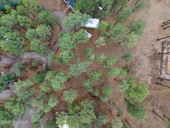 Jan Drone-01 | Image 6