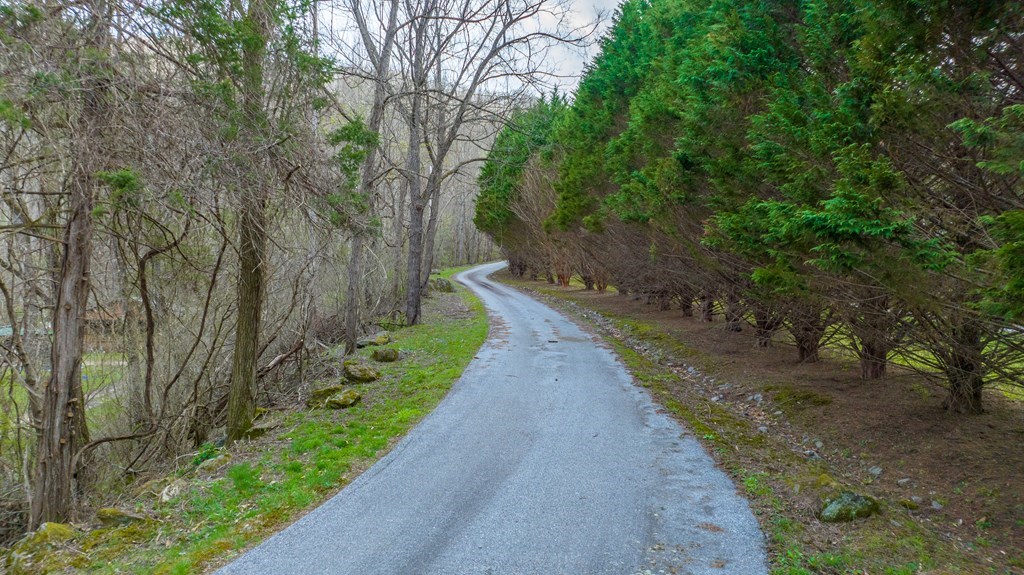 Land in Franklin 5