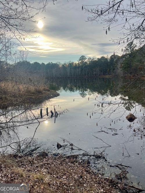 lot-10-0 Padgett Road, Senoia, GA, 30276 | Card Image