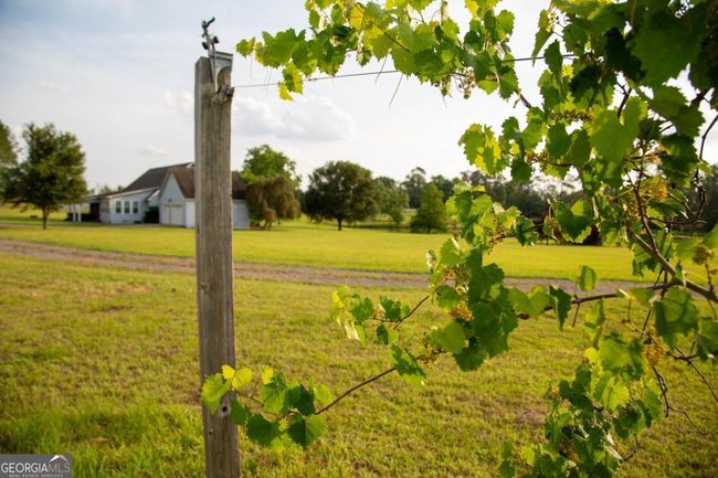 5407 Us Highway 221 S, Home with 4 bedrooms, 4 bathrooms and null parking in Uvalda GA | Image 38