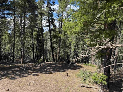Lot 1662 El Vado Way, Angel Fire, NM, 87710 | Card Image