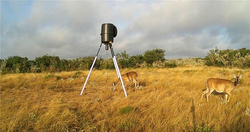 44 Ranch South Highway S, San Diego, TX, 78384 | Card Image