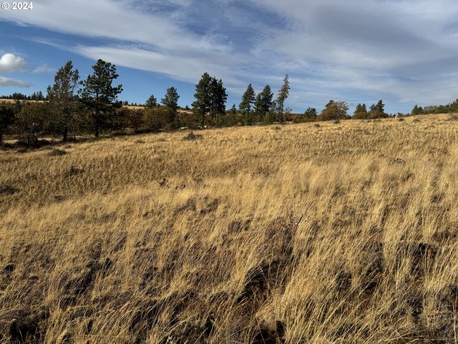 0 Jensen Quarry Rd, Home with 0 bedrooms, 0 bathrooms and null parking in Bickleton WA | Image 32