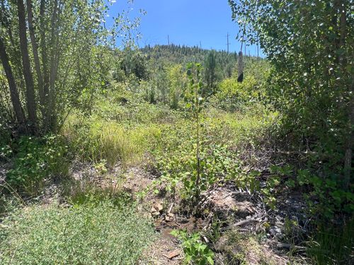 15210 Glendale Pines Dr, Shasta, CA, 96087 | Card Image