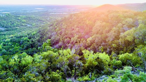 21305 White Cloud Cove, Lago Vista, TX, 78645 | Card Image