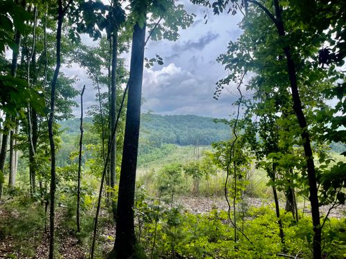 0000 White Oak Rd, Summerville, GA, 30747 | Card Image