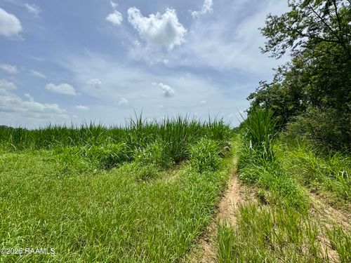 Tbd Roosevelt Rd, Maurice, LA, 70555 | Card Image