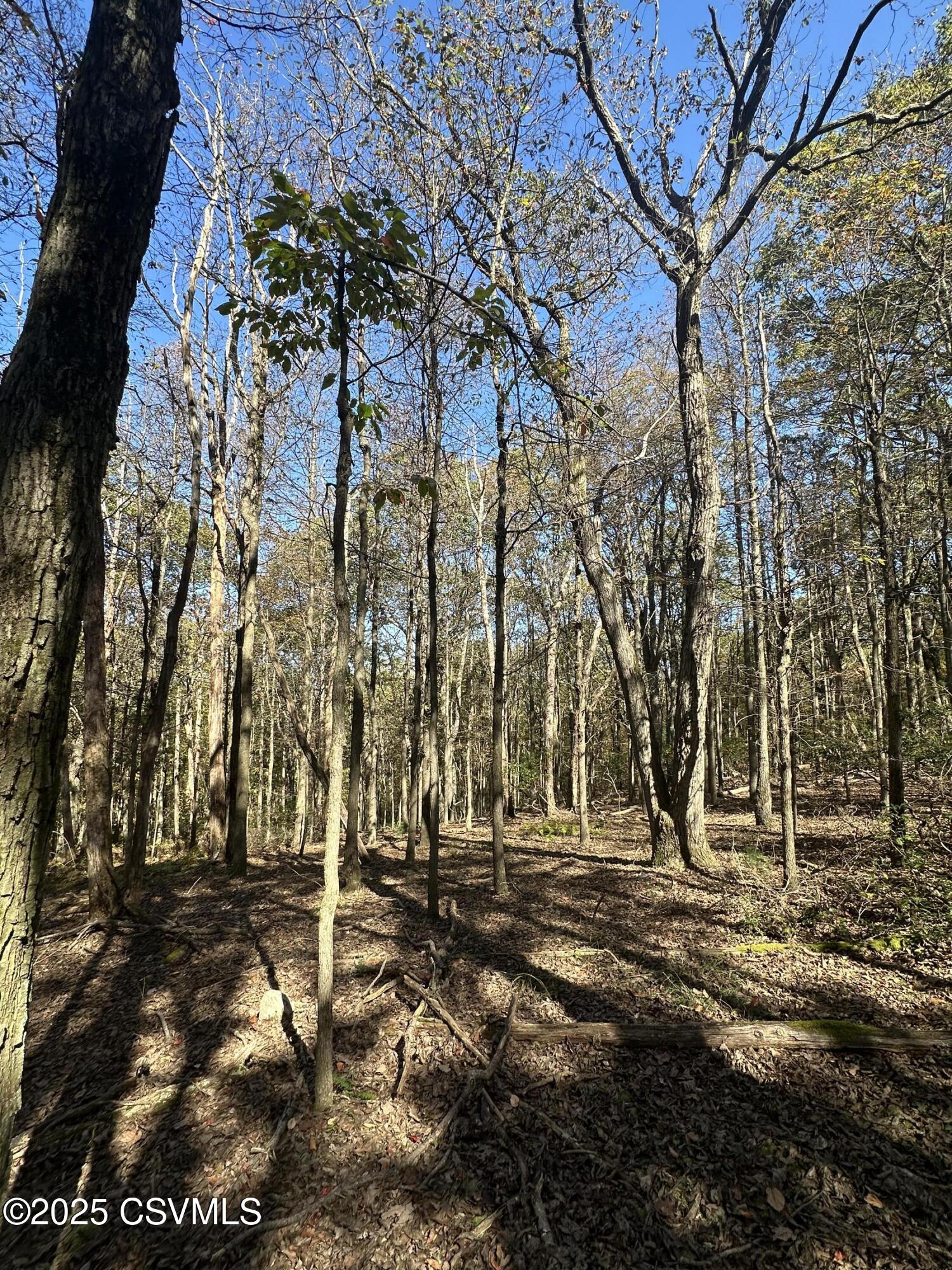 Land in Catawissa