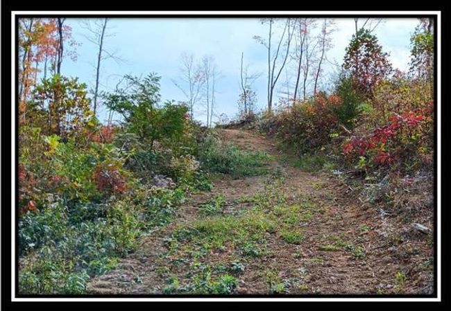 TRACT-1 - 34482 Huston Rd, Home with 0 bedrooms, 0 bathrooms and null parking in Radcliff OH | Image 4