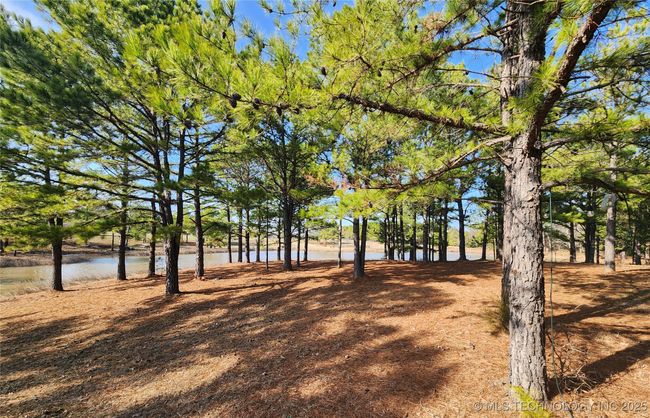 5253 S Research Rd, Home with 0 bedrooms, 0 bathrooms and null parking in Lane OK | Image 54