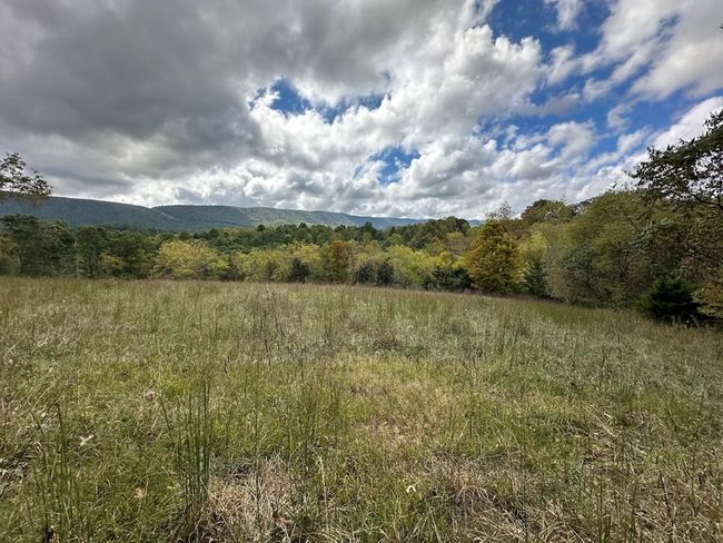 621 Point Pleasant Rd, House other with 2 bedrooms, 1 bathrooms and null parking in BLAND VA | Image 28