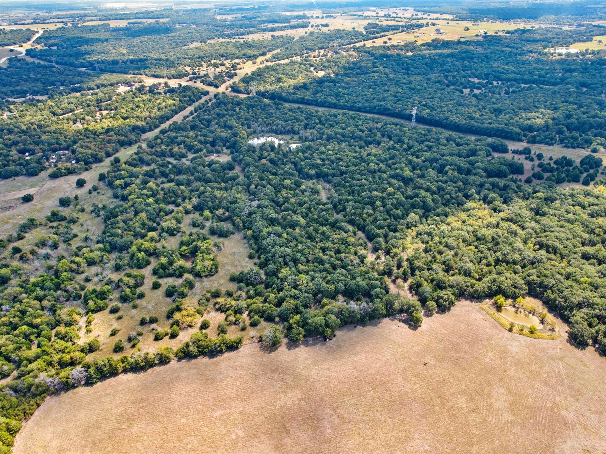 Land in Terrell