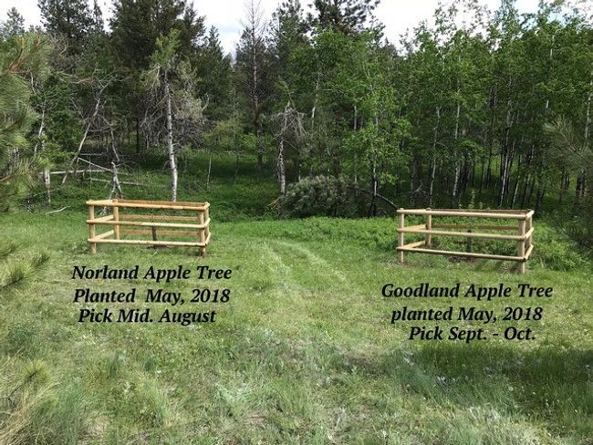 orchard | Image 103