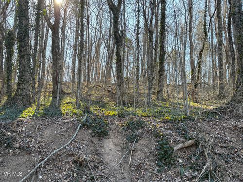 14 Bishop Hollow Rd, Elizabethton, TN, 37643 | Card Image