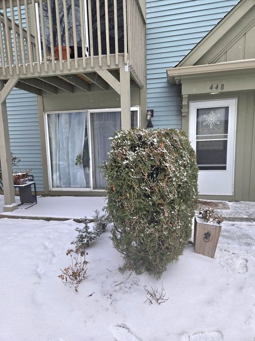 448-448 Bridle Trl, Wheeling, IL, 60090-5933 | Card Image