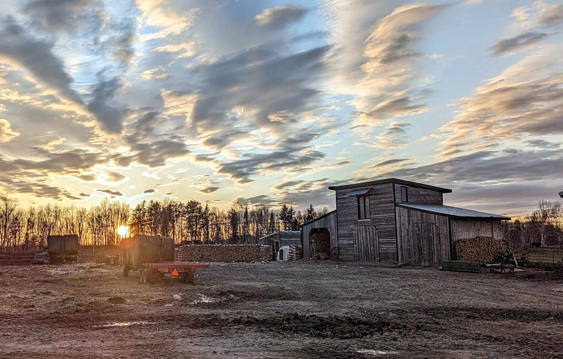 Farm in Latulipe-et-Gaboury 5