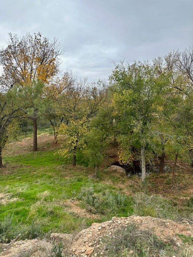 126 Cervenka Rd, House other with 3 bedrooms, 2 bathrooms and null parking in Bronte TX | Image 22